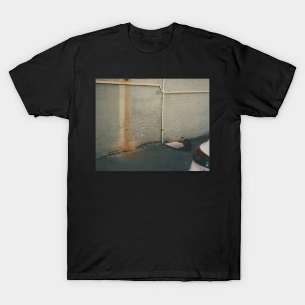 Kitty on a sidewalk Film Photo T-Shirt by HFGJewels